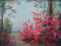 Azaleas Along The Neuse